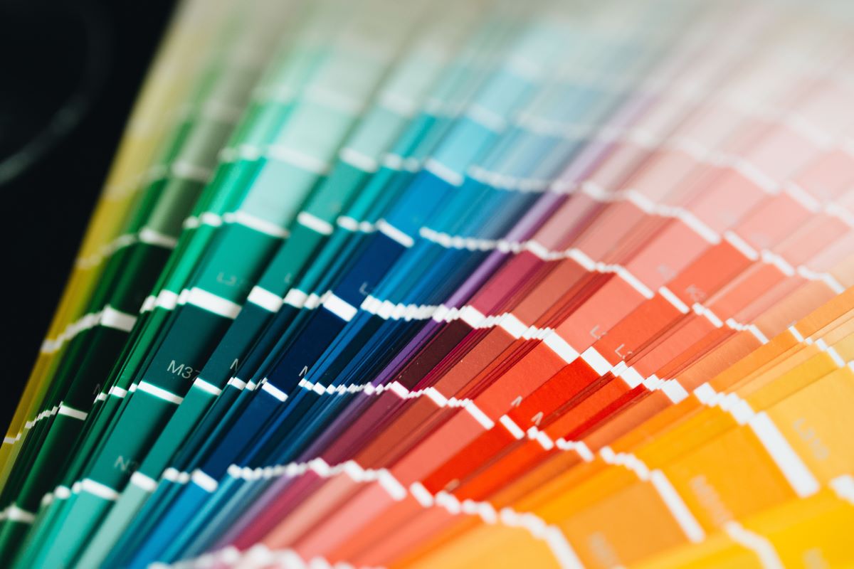 close-up of a color palette